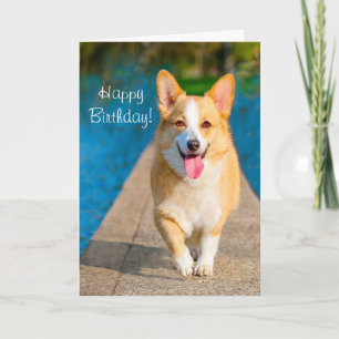 Grattis på födelsedagen Corgi Hund Kort