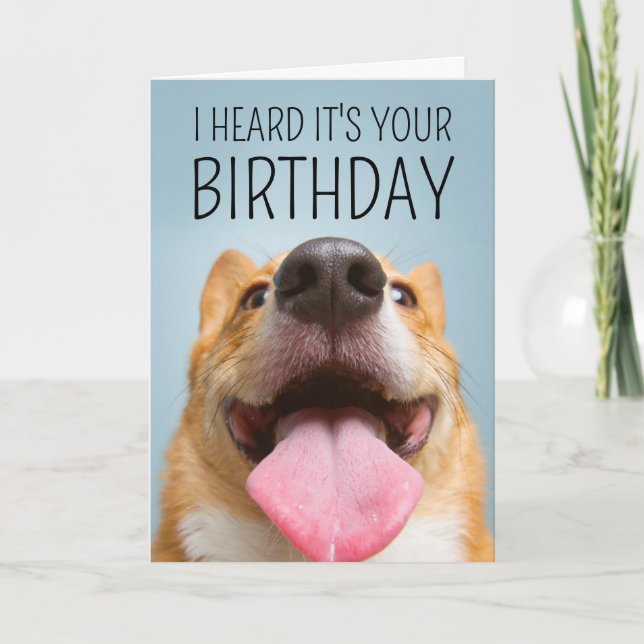 Grattis på födelsedagen | Corgi-smil Kort (Framsida)