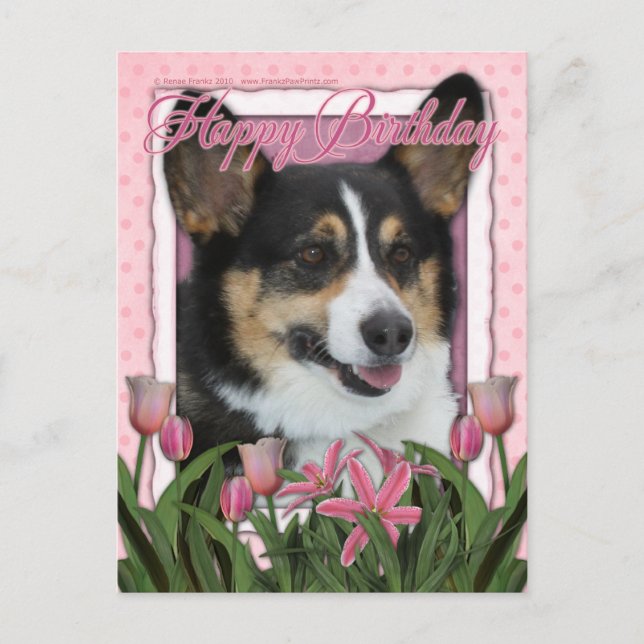 Grattis på födelsedagen - Corgi Vykort (Framsida)
