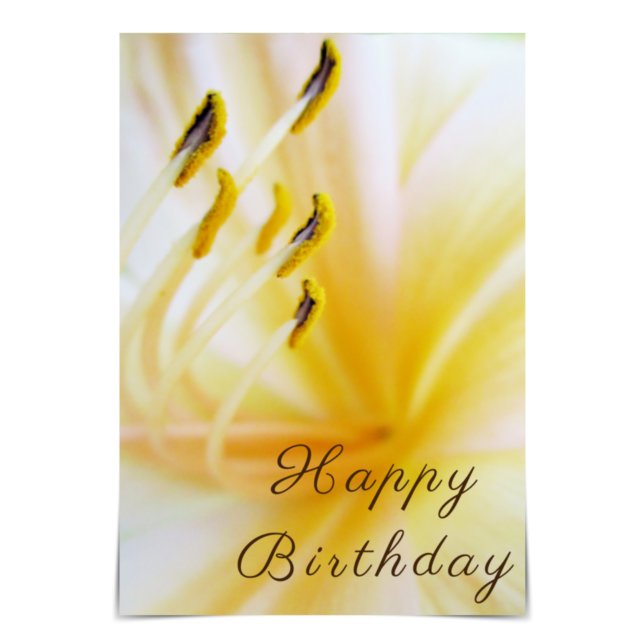 "Grattis på födelsedagen" Cream Lily Card Kort (Skapare uppladdad)