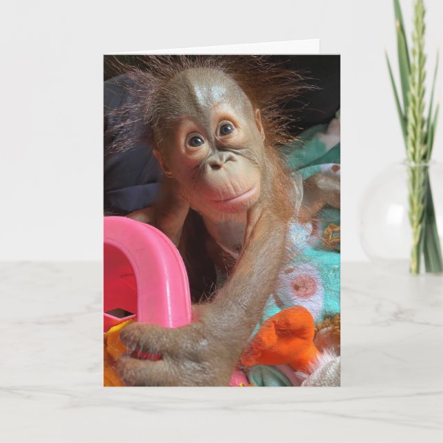 Grattis på födelsedagen Cute Baby Orangutan Kort (Framsida)
