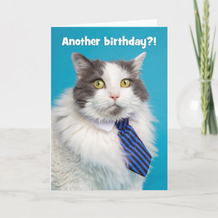 Grattis på födelsedagen Cute Can in Tie Helgkort