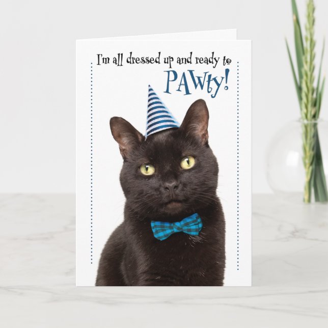 Grattis på födelsedagen Cute Cat i Party Hat Humor Helgkort (Framsida)