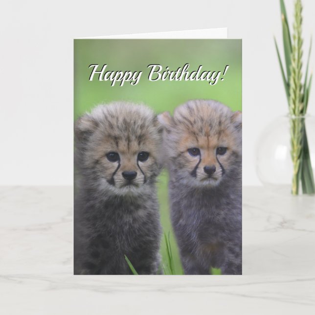 Grattis på födelsedagen Cute Cheetah Syskon Unge Kort (Framsida)