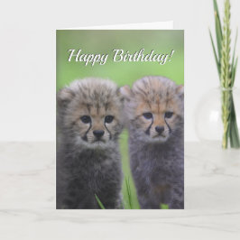 Grattis på födelsedagen Cute Cheetah Syskon Unge Kort