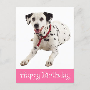 Grattis på födelsedagen Cute Dalmatian Puppy Hund Vykort