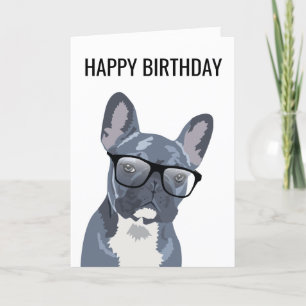 Grattis på födelsedagen Cute Hund   Blue/Grått Fra Kort