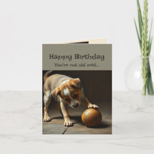 Grattis på födelsedagen Cute Hund Du är inte gamma Kort
