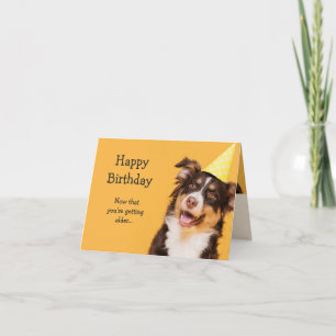 Grattis på födelsedagen Cute Hund Hämtar äldre Rol Kort