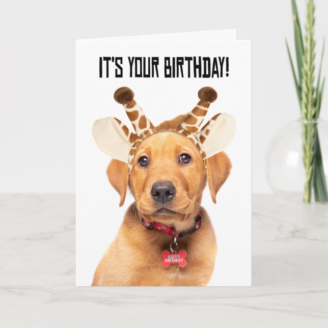 Grattis på födelsedagen Cute Lab-valpen i Giraffe  Helgkort (Framsida)