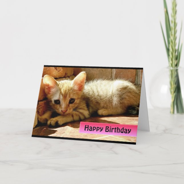 Grattis på födelsedagen Cute Little Kitten Kort (Framsida)