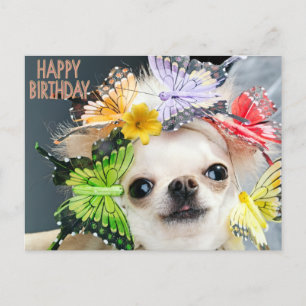 Grattis på födelsedagen Cute Rolig hund Helg Vykort