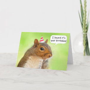 grattis på födelsedagen Cute Squirrel i Party Hat Helgkort