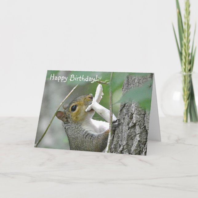 Grattis på födelsedagen Cute Squirrel Kort (Framsida)