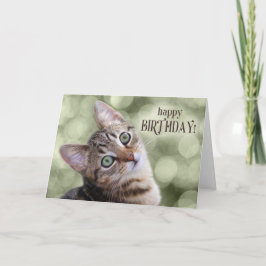 Grattis på födelsedagen Cute Tabby Kitten Kort