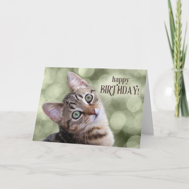 Grattis på födelsedagen Cute Tabby Kitten Kort (Framsida)