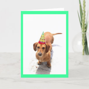 Grattis på födelsedagen Dachshund-hälsningskort Kort