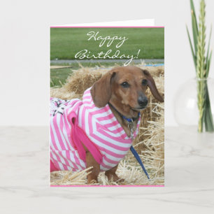 Grattis på födelsedagen Dachshund-hälsningskort Kort