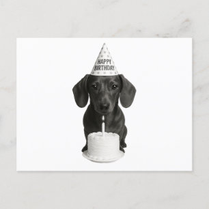 Grattis på födelsedagen Dachshund Helg Vykort