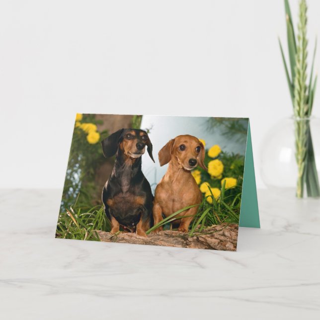 Grattis på födelsedagen Dachshund Puppy Hund Card Kort (Framsida)