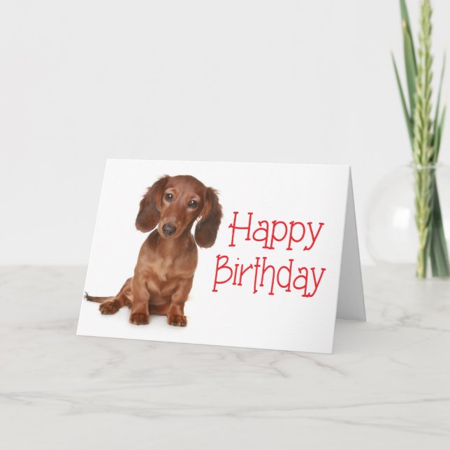 Grattis på födelsedagen Dachshund Puppy Hund Card Kort (Framsida)