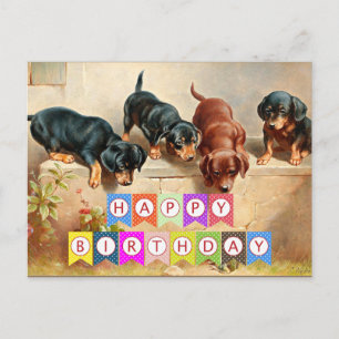 Grattis på födelsedagen, Dachshund-valpar Vykort
