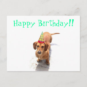Grattis på födelsedagen Dachshund-vykort Vykort