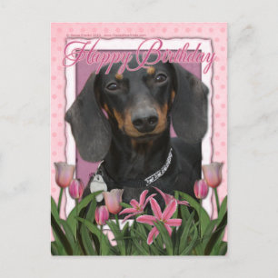 Grattis på födelsedagen - Dachshund - Winston Vykort