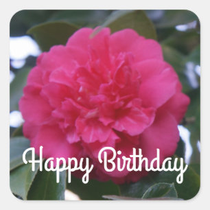Grattis på födelsedagen Daikagura Red Camellia Sti Fyrkantigt Klistermärke