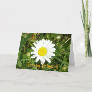 grattis på födelsedagen! Daisy-kort Kort