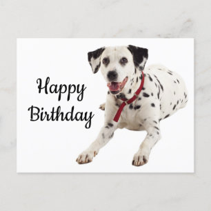 Grattis på födelsedagen Dalmatien Puppy Hund älska Vykort
