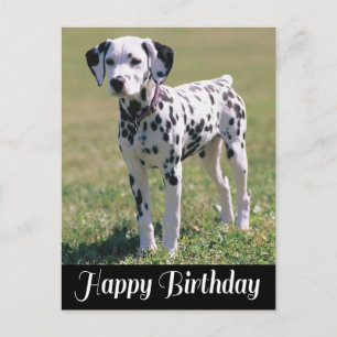 Grattis på födelsedagen Dalmatien Puppy Hund älska Vykort