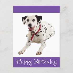 Grattis på födelsedagen Dalmatien Puppy Hund-vykor Vykort