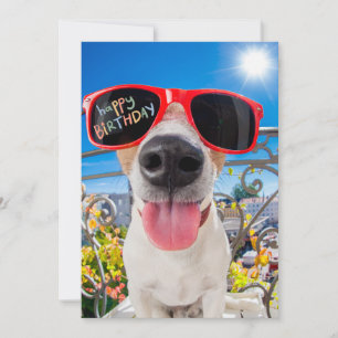 Grattis på födelsedagen Dawg Hund i Sunglass Julkort