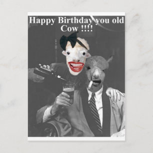 Grattis på födelsedagen, din gamla Cow! Vykort