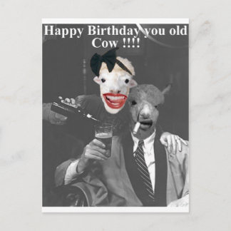 Grattis på födelsedagen, din gamla Cow! Vykort