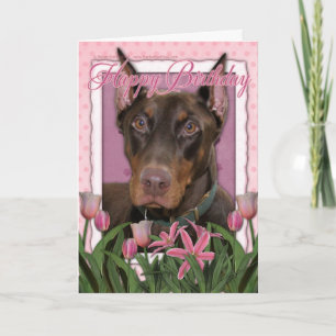 Grattis på födelsedagen - Doberman - Rocky Kort