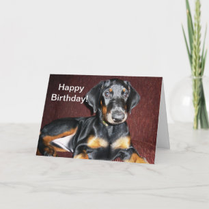 Grattis på födelsedagen - DobermanPinschervalp Kort