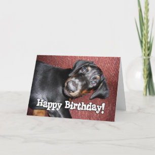 Grattis på födelsedagen - DobermanPinschervalp Kort