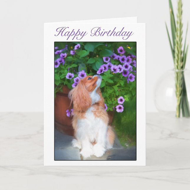 Grattis på födelsedagen Doftande blommor King Char Kort (Framsida)