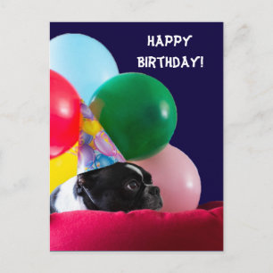 Grattis på födelsedagen Dog Humor med ballonger Vykort