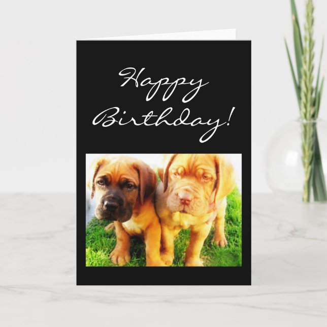 Grattis på födelsedagen Dogue de Bordeaux-hälsning Kort (Framsida)