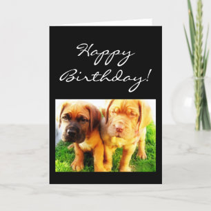 Grattis på födelsedagen Dogue de Bordeaux-hälsning Kort