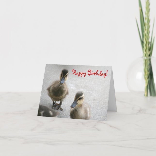 Grattis på födelsedagen, Ducklings Kort (Framsida)