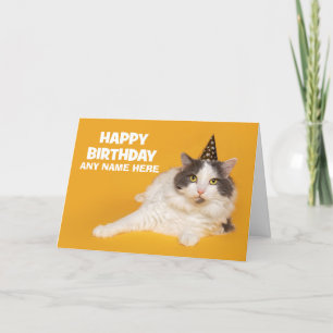 Grattis på födelsedagen eget namn Cute Cat i Party Helgkort