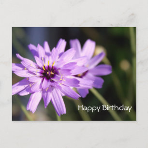 Grattis på födelsedagen, elegant lila daisy-blomma vykort