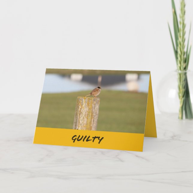 Grattis på födelsedagen en fågel berättade mig att kort (Framsida)