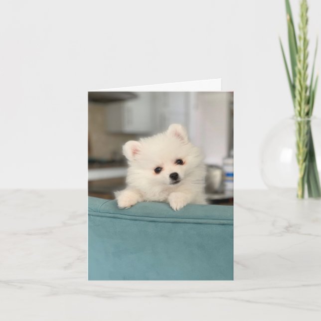 Grattis på födelsedagen/en missgynnad kritiker til kort (Framsida)