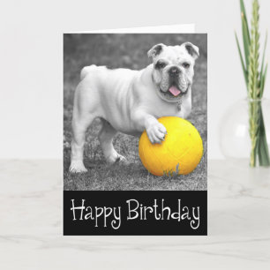 Grattis på födelsedagen English Bulldog Puppy Hund Kort