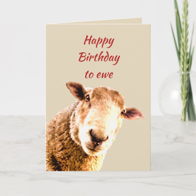 Grattis på födelsedagen Ewe Funny Sheep Animal Hum Kort (Framsida)